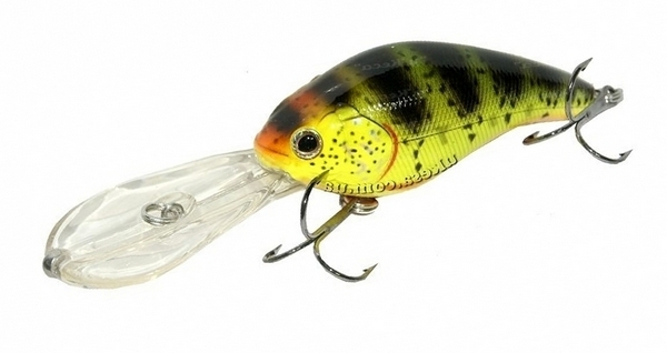 panacea marauder fat